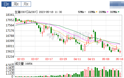 2023.05.18今日猪价