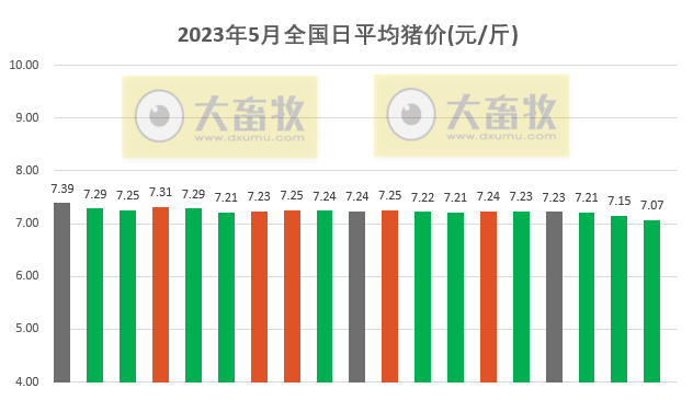 2023.05.19今日猪价
