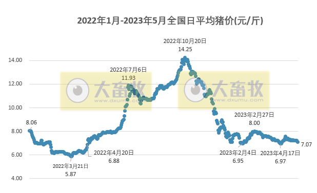 2023.05.19今日猪价
