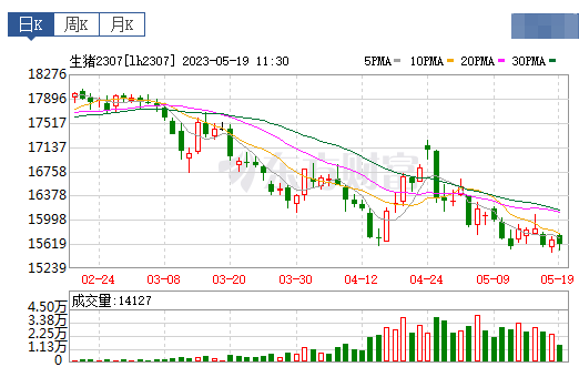 2023.05.19今日猪价