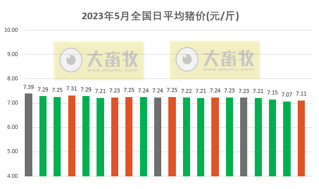 2023.05.20今日猪价