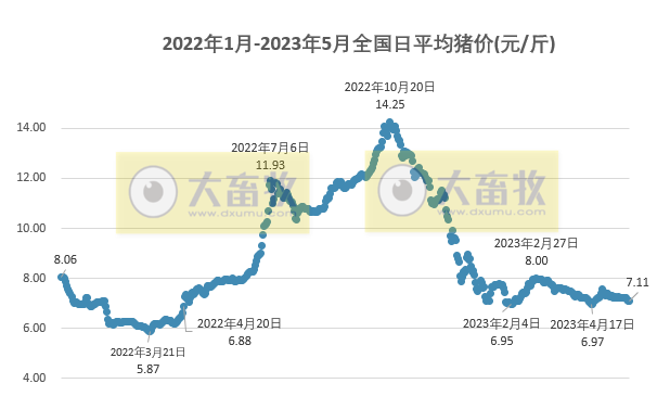 2023.05.20今日猪价