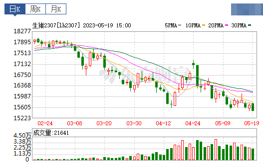 2023.05.20今日猪价