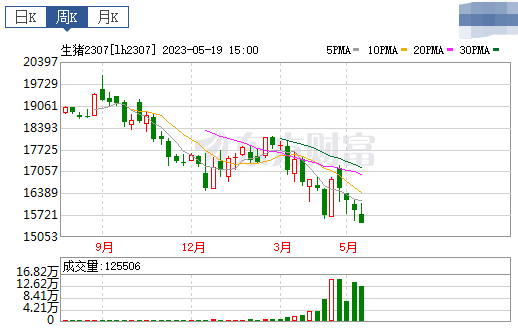2023.05.21今日猪价