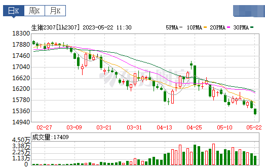 2023.05.22今日猪价