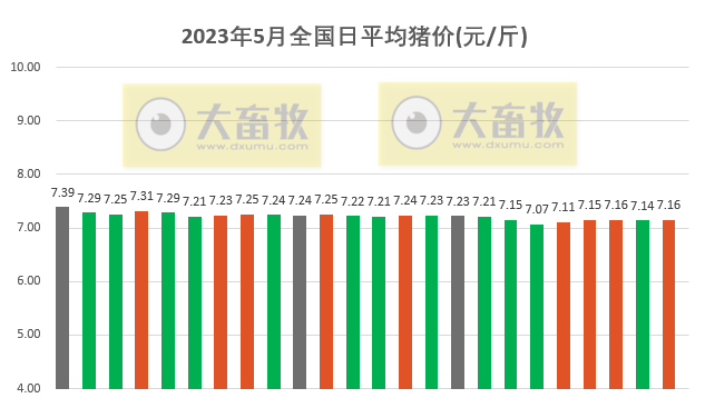2023.05.24今日猪价