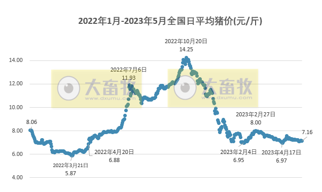 2023.05.24今日猪价