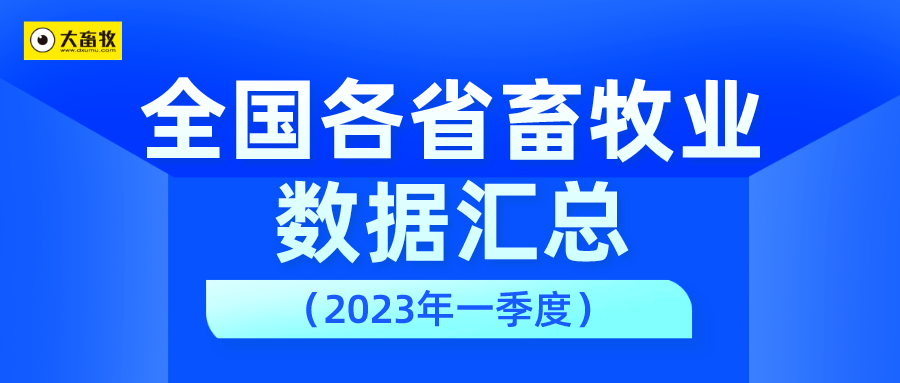 全国各省2023年一季度畜牧业数据汇总