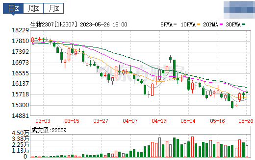 2023.05.27今日猪价