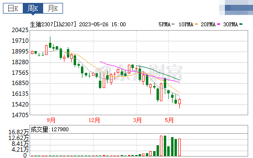 2023.05.28今日猪价