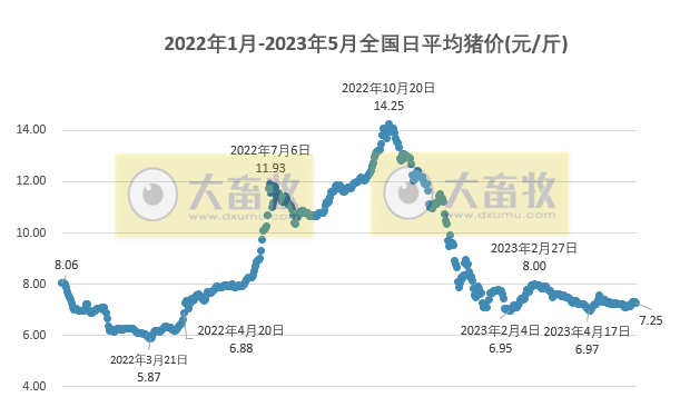 2023.05.29今日猪价