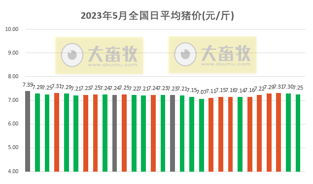 2023.05.29今日猪价