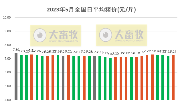 2023.05.31今日猪价