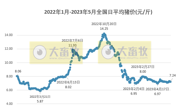 2023.05.31今日猪价