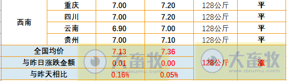 2023.05.31今日猪价