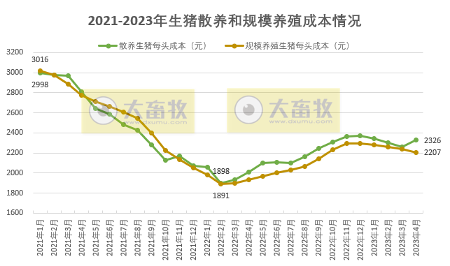 2023年4月散养生猪成本比规模养殖高出119元，近11个月最高