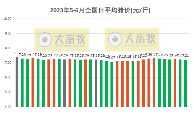 2023.06.02今日猪价