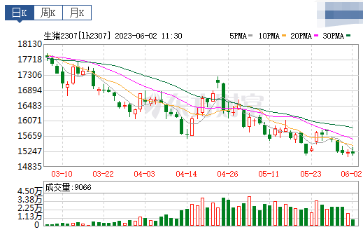 2023.06.02今日猪价