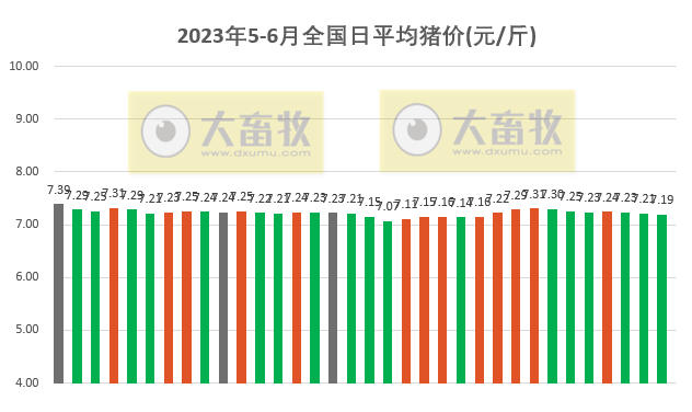 2023.06.03今日猪价