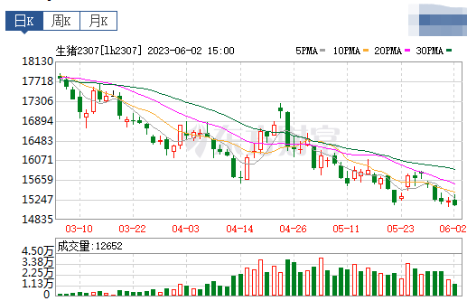 2023.06.03今日猪价