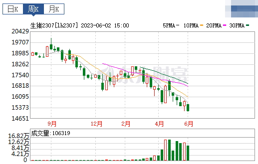 2023.06.04今日猪价