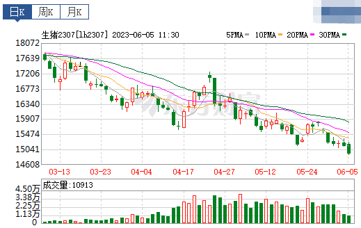 2023.06.05今日猪价