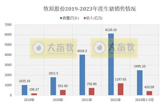 牧原、温氏、新希望、天邦、傲农和大北农等19家上市猪企2023年5月生猪销售情况汇总
