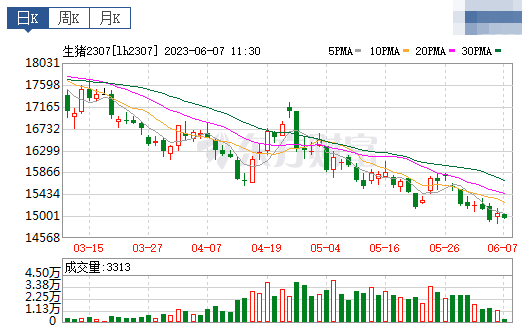 2023.06.07今日猪价