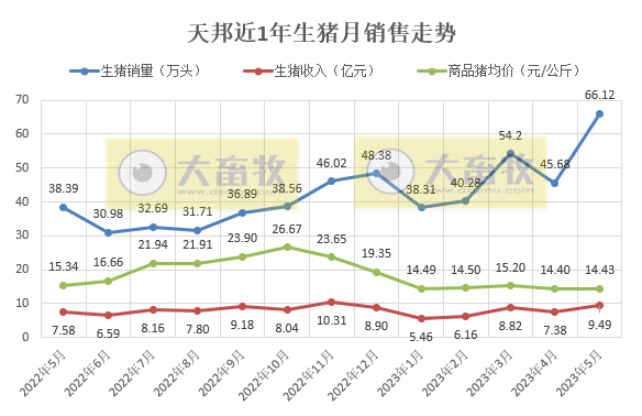牧原、温氏、新希望、天邦、傲农和大北农等19家上市猪企2023年5月生猪销售情况汇总
