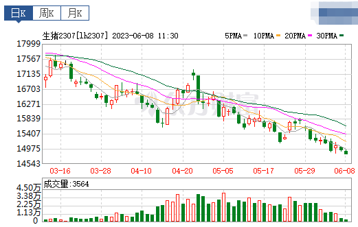 2023.06.08今日猪价