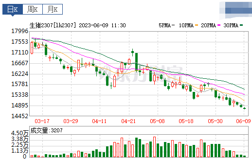 2023.06.09今日猪价