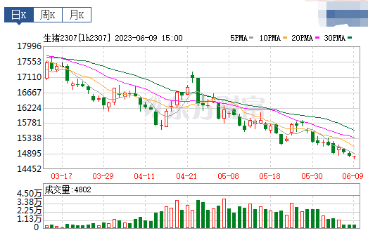 2023.06.10今日猪价