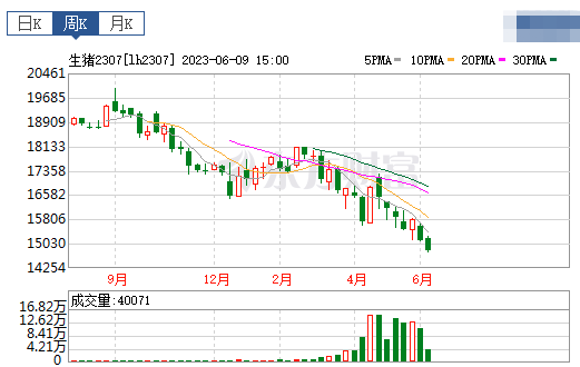 2023.06.11今日猪价