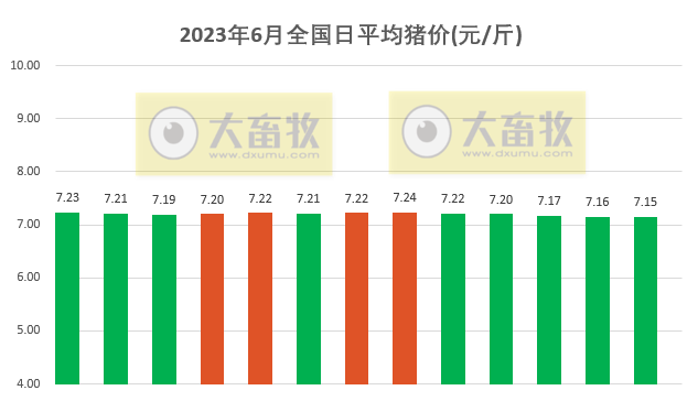 2023.06.13今日猪价
