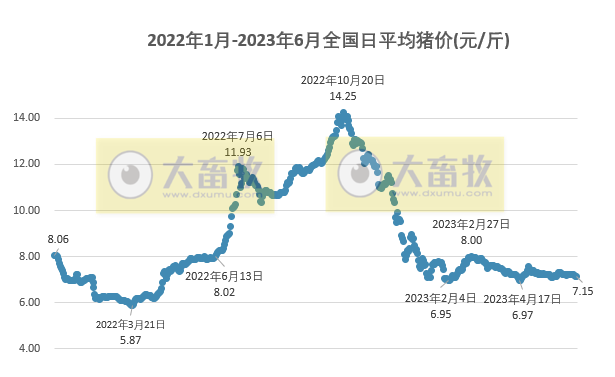 2023.06.13今日猪价