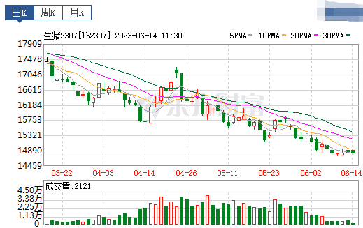 2023.06.14今日猪价
