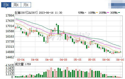 2023.06.16今日猪价