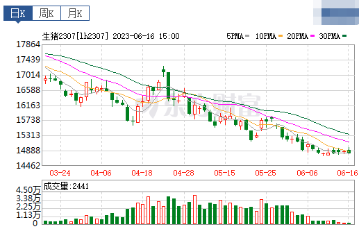 2023.06.17今日猪价