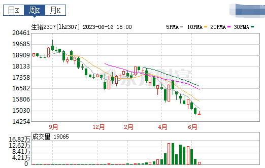 2023.06.18今日猪价