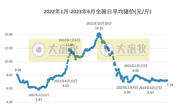 2023.06.19今日猪价
