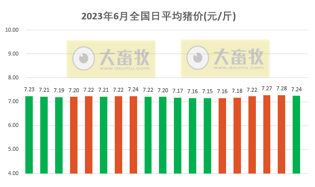 2023.06.19今日猪价