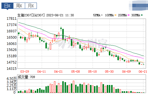 2023.06.21今日猪价