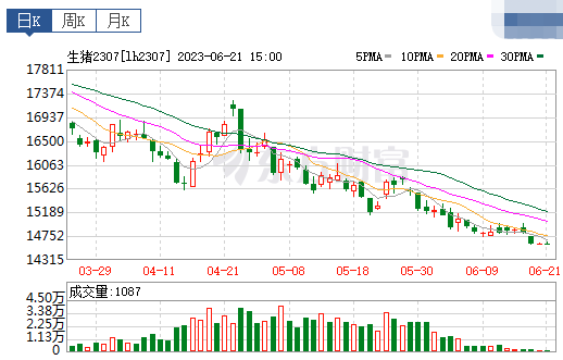 2023.06.22今日猪价