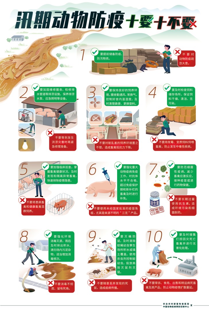 汛期动物防疫十要十不要——官方发布《汛期动物疫病防控技术指导意见》