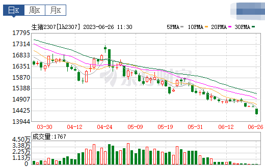 2023.06.26今日猪价