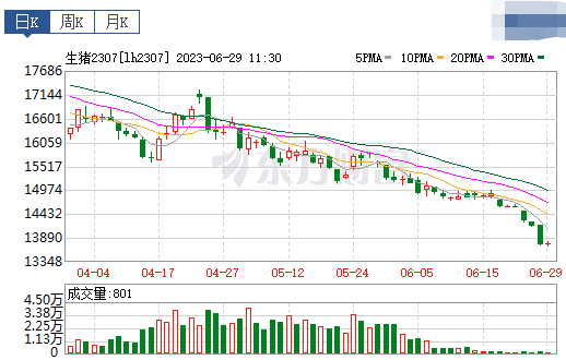2023.06.29今日猪价