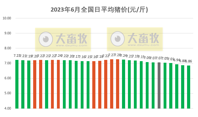2023.06.30今日猪价
