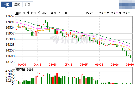 2023.07.01今日猪价