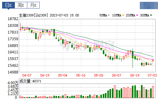 2023.07.04今日猪价