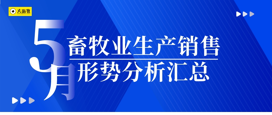 2023年5月畜牧业生产销售形势分析汇总